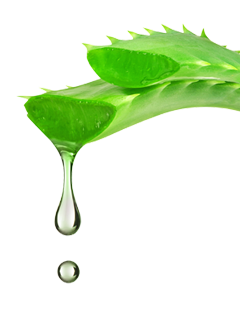 alo vera gel 99% Organic Aloe Vera Gel, Soothing Moisturizer 12oz main image 0