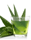 Aloe Vera Drink - gute Gründe, Aloe Vera zu trinken