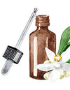 Erwecke Deine Sinne mit ätherischen Ölen: von der Aromatherapie bis zur Hautpflege
