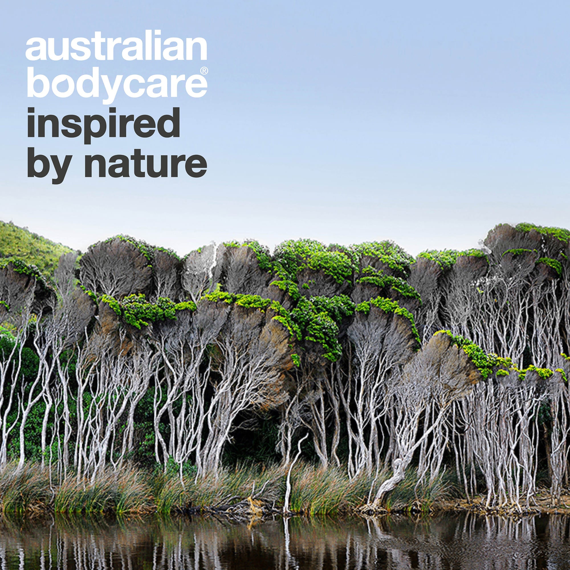 Australian Bodycare – inspired by nature: australische Landschaft mit Teebäumen