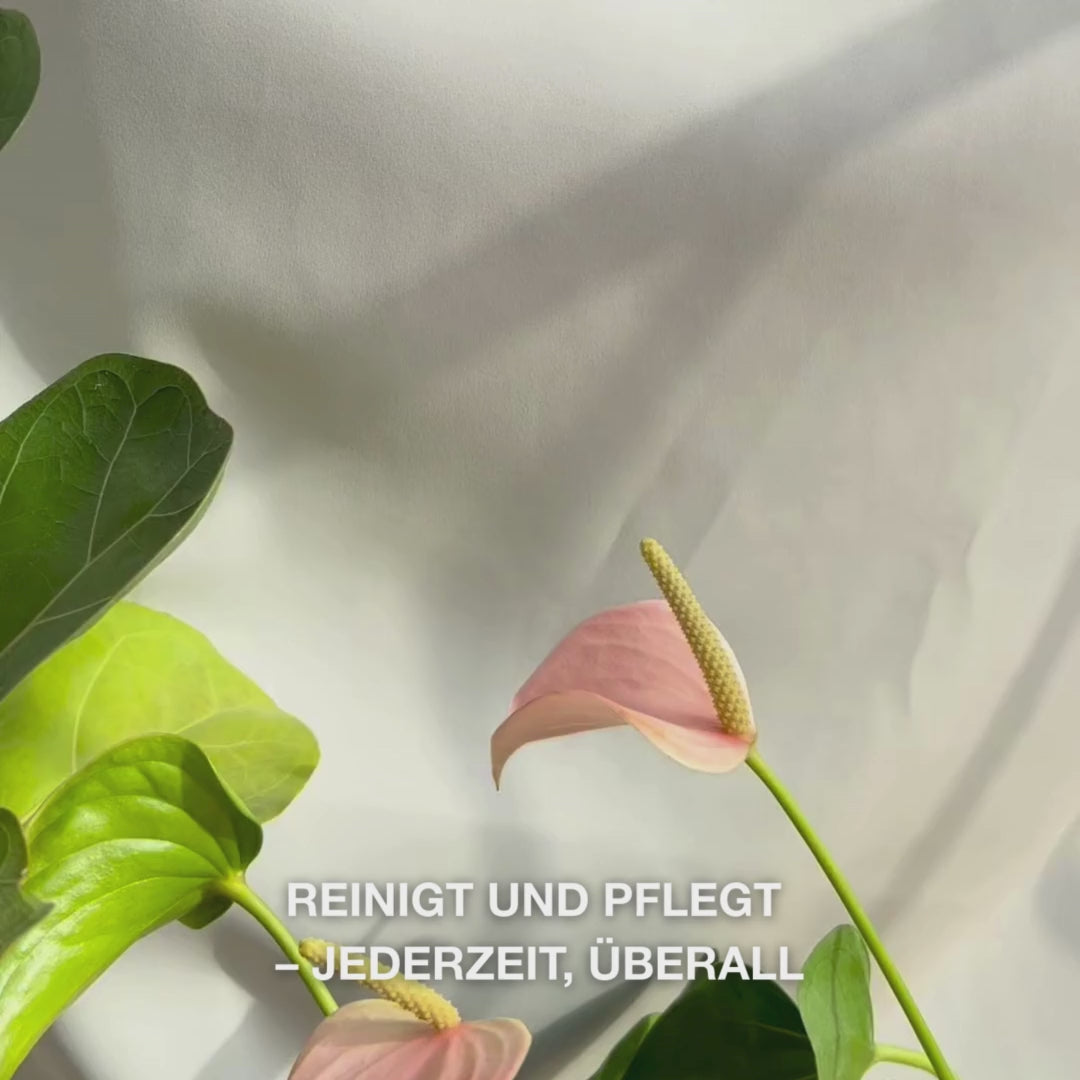 Nahaufnahme einer Hand, die ein weiches, angefeuchtetes Reinigungstuch mit Teebaumöl entfaltet und es sanft über die Haut streicht, um Make-up, überschüssigen Talg und Unreinheiten zu entfernen – die weiche Textur und die erfrischende, beruhigende Wirkung für empfindliche bis fettige Haut werden sichtbar.