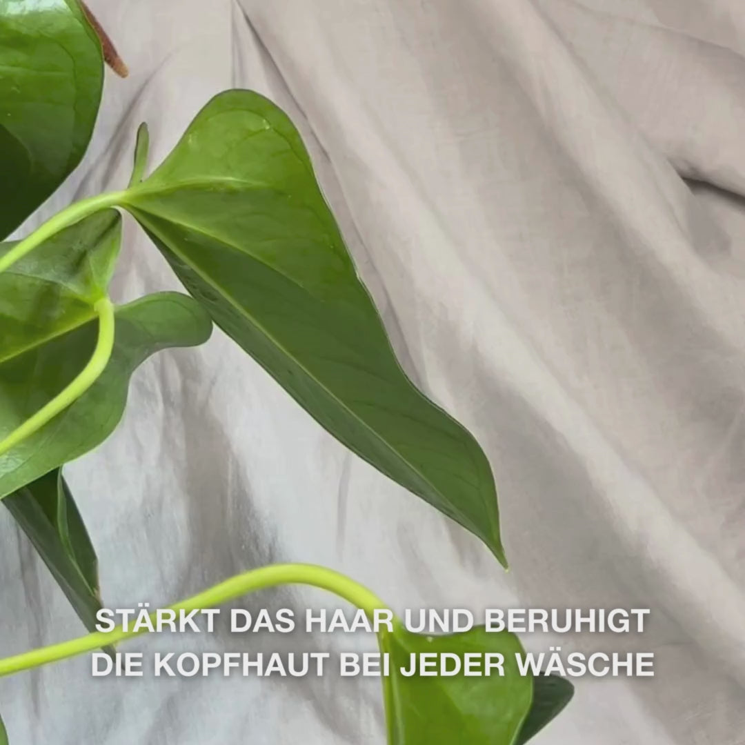 Nahaufnahme einer Hand, die einen cremigen, transparenten Pumpstoß Hemp Shampoo in die Handfläche gibt und ihn anschließend ins nasse Haar einarbeitet, wodurch ein sanfter, feuchtigkeitsspendender Schaum entsteht, der Kopfhaut beruhigt und nährt.