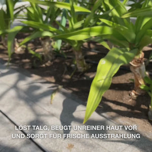 Salicylsäure Gesichtsreiniger gegen Pickel und Mitesser – reinigt Poren und reduziert fettige Haut